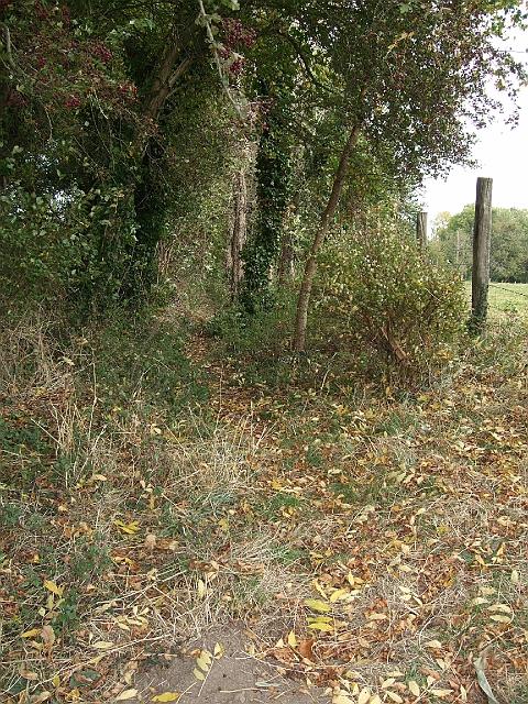 futur trail 032.jpg